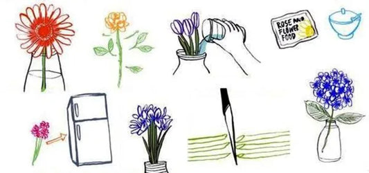 How to Keep Flowers Fresh