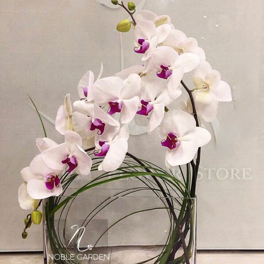 Orchids..