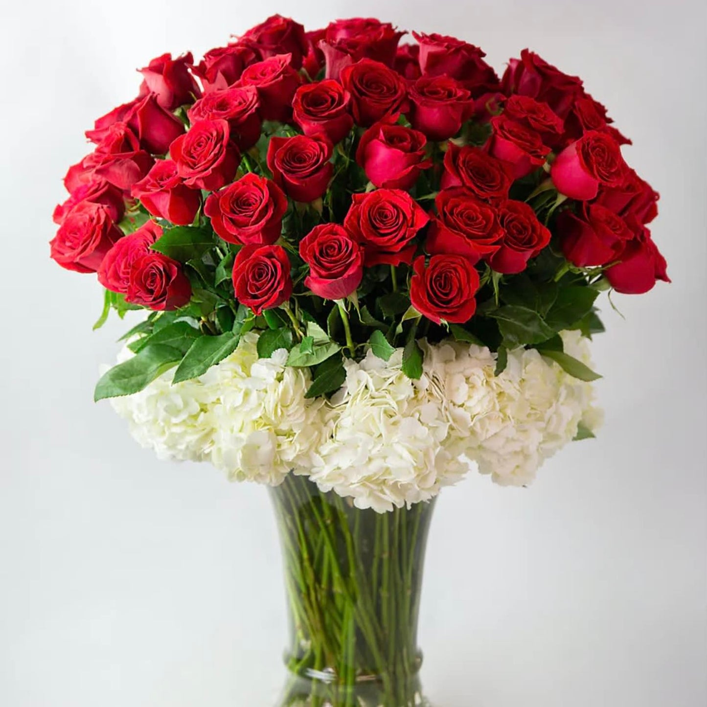 75 luxury roses