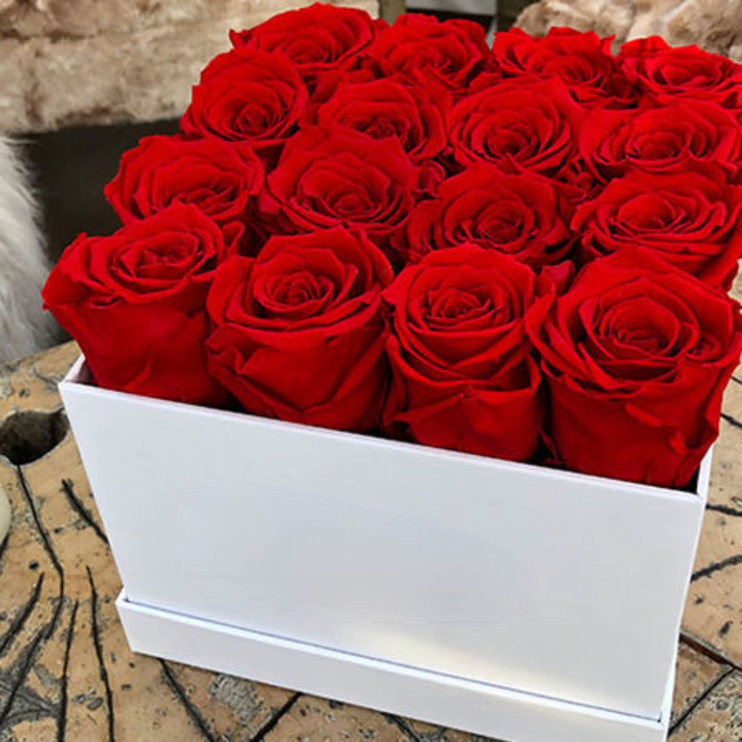 16 All Year Roses In Ruby Red