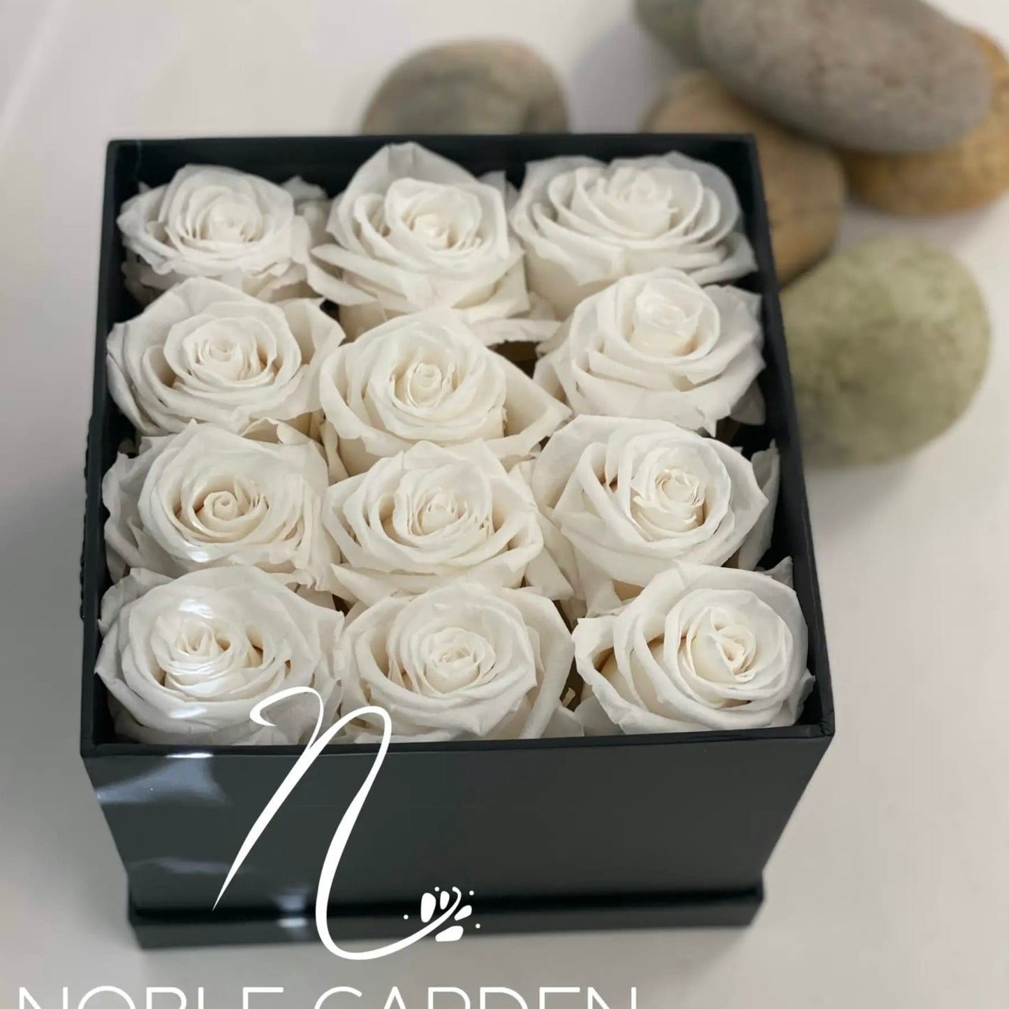 white roses