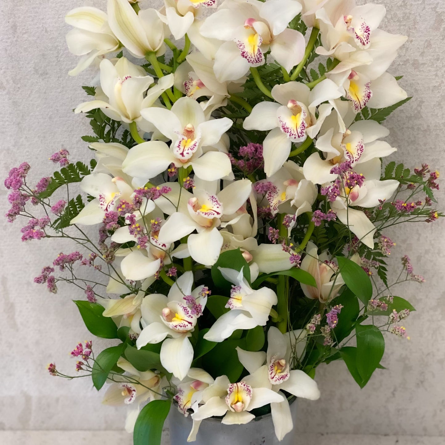 Elegant Whit Cymbidium Orchid