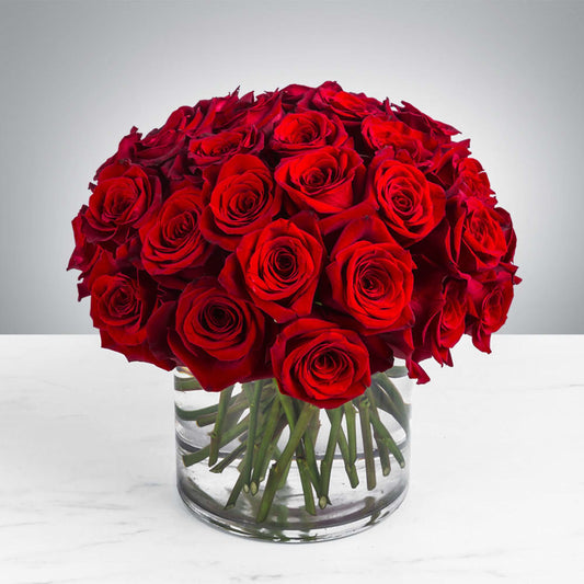 Three Dozen Red Roses by BloomNation™